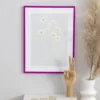 Ram New Lifestyle Fuchsia 50x70 cm - Passepartout Vit 42x59,4 cm (A2)
