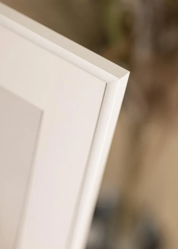 Ram New Lifestyle Glas Vit 40x60 cm