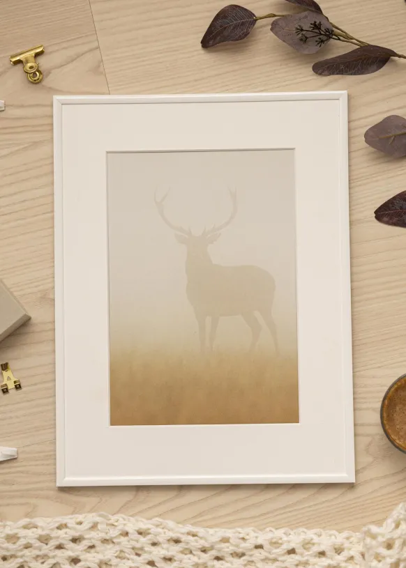 Ram New Lifestyle Glas Vit 40x60 cm