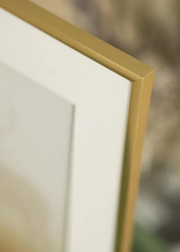 Ram New Lifestyle Shiny Gold 40x50 cm - Passepartout Vit 30x40 cm