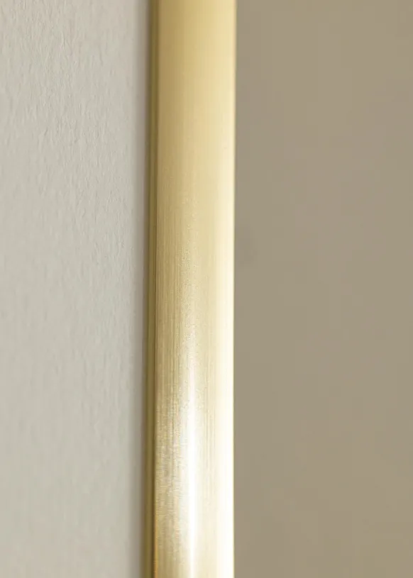 Ram New Lifestyle Shiny Gold 60x80 cm - Passepartout Vit 50x70 cm