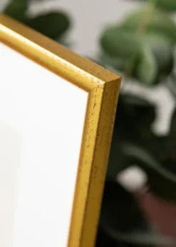 Ram Newline Glas Guld 18x24 cm