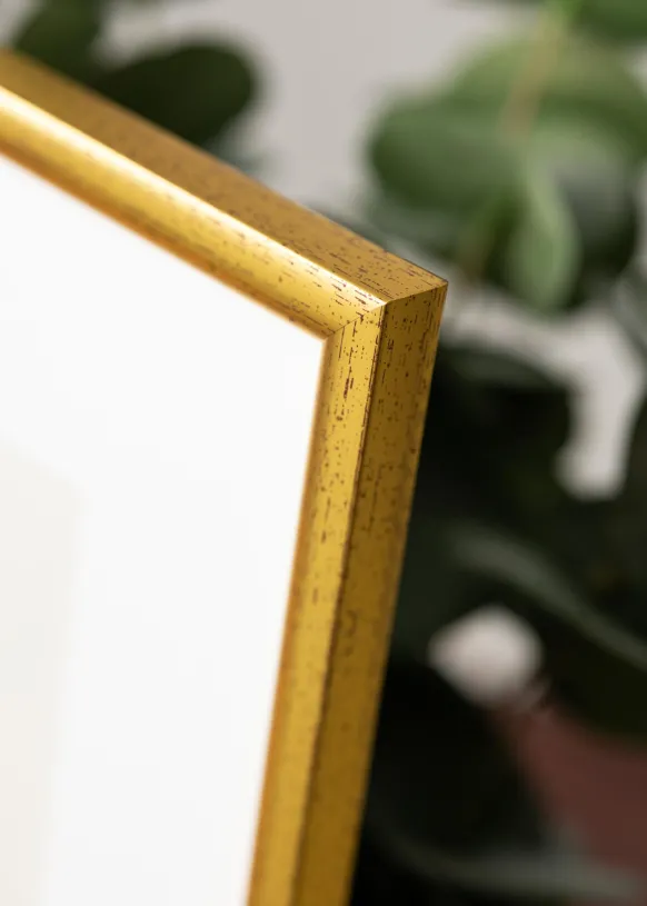 Ram Newline Glas Guld 18x24 cm