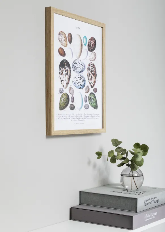 Ram Nielsen Premium Quadrum Glas Ek 50x70 cm