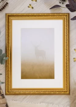 Ram Ornate Guld 20x30 cm - Passepartout Vit 9x11 cm