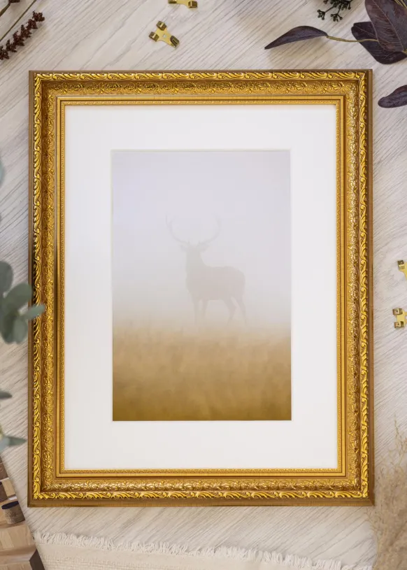 Ram Ornate Guld 20x30 cm - Passepartout Vit 9x11 cm
