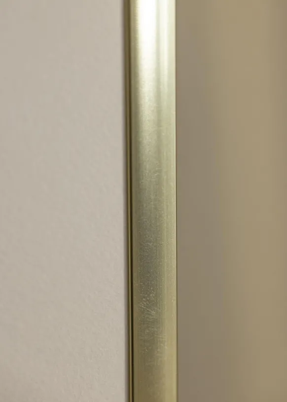Ram Poster Frame Aluminum Glas Gold 30x40 cm
