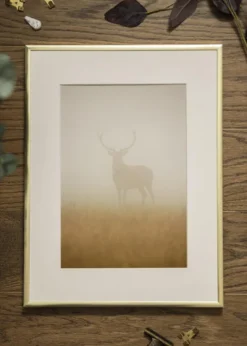 Ram Poster Frame Aluminum Glas Gold 30x40 cm
