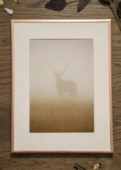 Ram Poster Frame Aluminum Glas Roséguld 21x29,7 cm (A4)