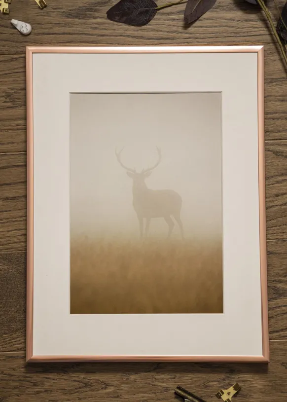 Ram Poster Frame Aluminum Glas Roséguld 21x29,7 cm (A4)