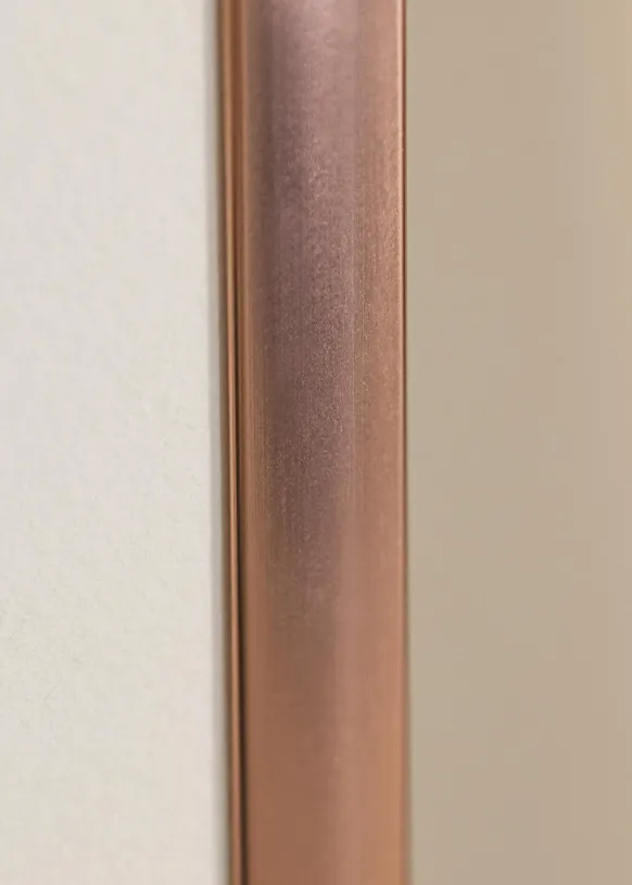 Ram Poster Frame Aluminum Glas Roséguld 50x70 cm