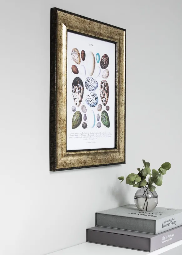 Ram Saltsjöbaden Glas Antik Guld 50x70 cm