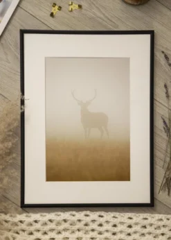 Ram Scandi Matt Svart 40x50 cm - Passepartout Vit 29,7x42 cm (A3)