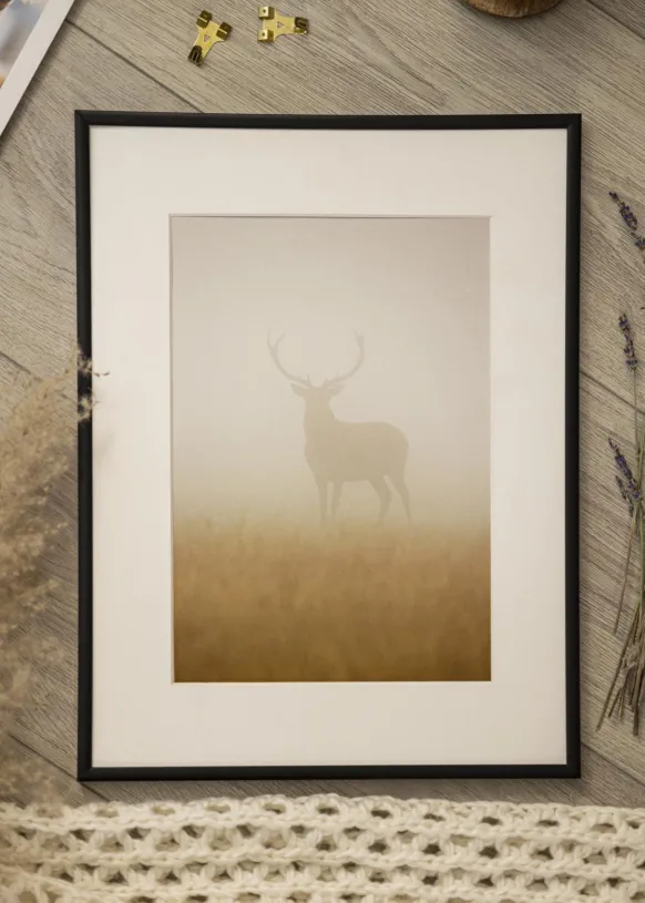 Ram Scandi Matt Svart 65x65 cm - Passepartout Vit 55x55 cm