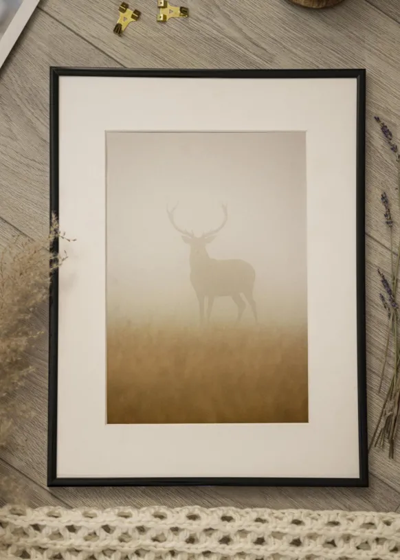 Ram Scandi Svart 70x100 cm - Passepartout Vit 61x91,5 cm
