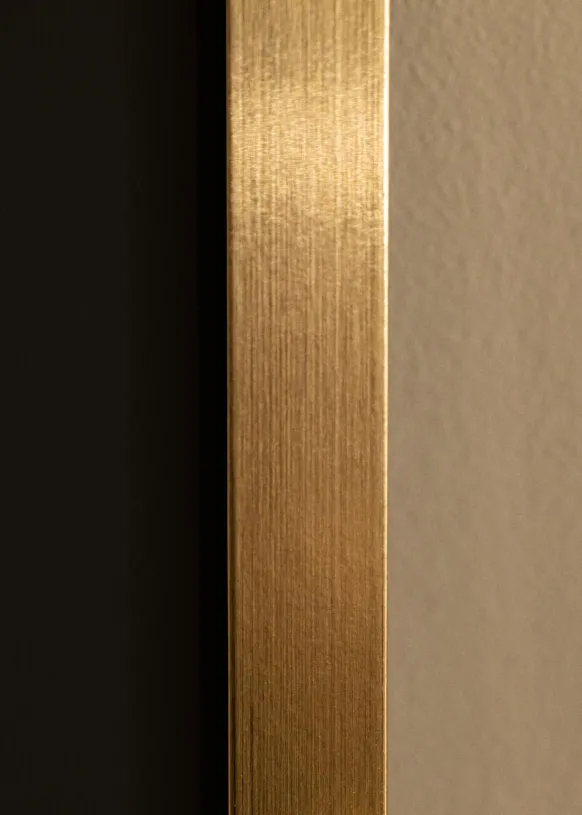 Ram Selection Guld 60x80 cm - Passepartout Svart 50x65 cm