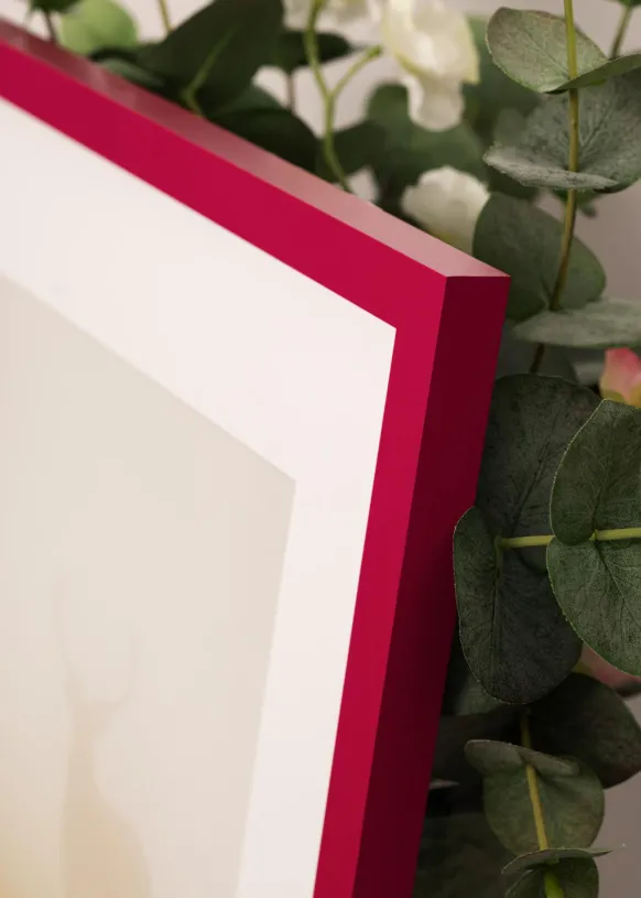 Ram Selection Hot Pink 40x60 cm