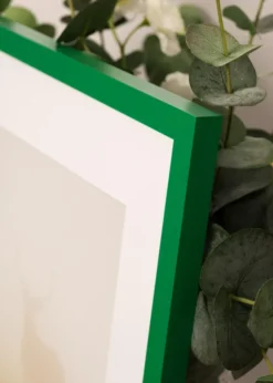 Ram Selection Light Green 42x59.4 cm (A2)