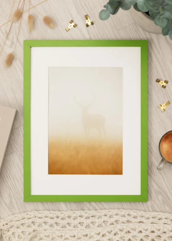 Ram Selection Lime Green 40x50 cm