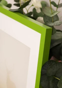 Ram Selection Lime Green 50x70 cm