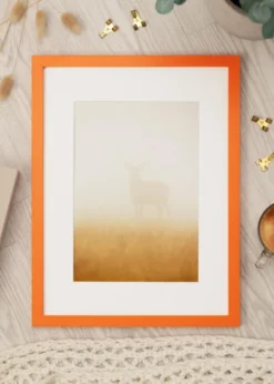 Ram Selection Orange 30x40 cm - Dubbel Passepartout Vit 21x29,7 cm (A4)