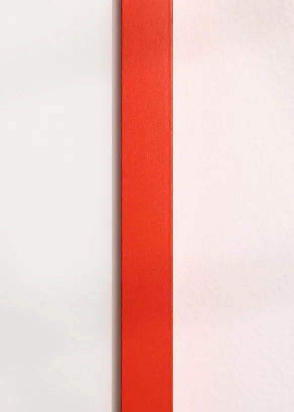 Ram Selection Red 59.4x84,1 cm (A1)