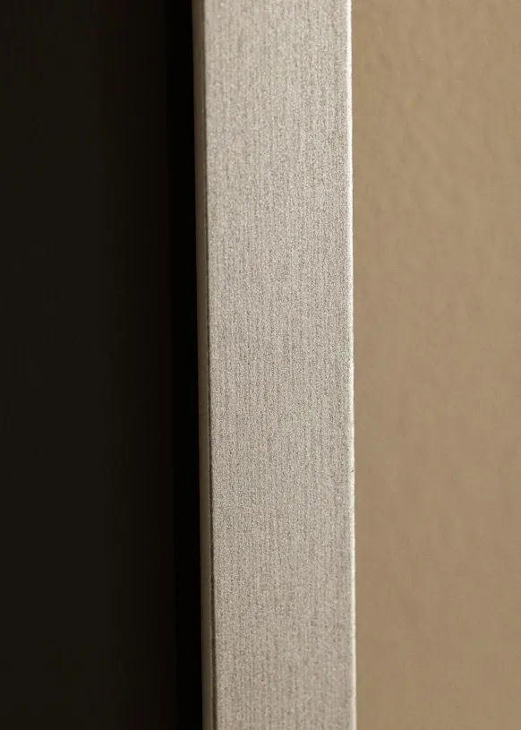 Ram Selection Silver 60x90 cm - Passepartout Svart 50x75 cm