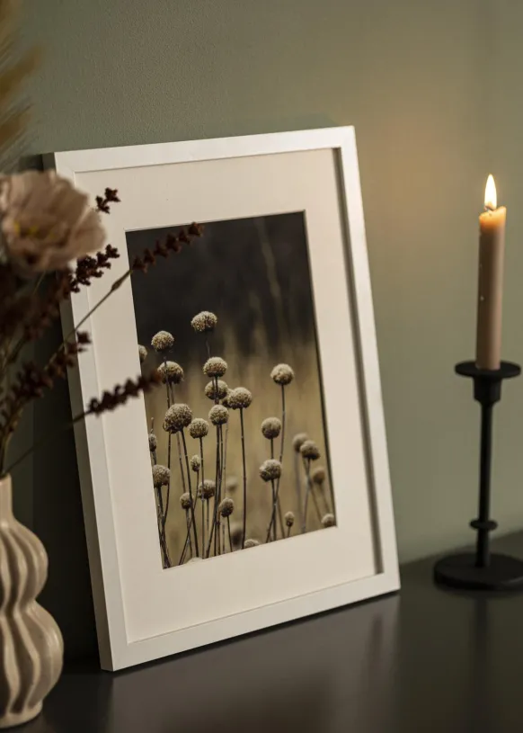 Ram Selection Vit 11x14 inches (27,94x35,56 cm)