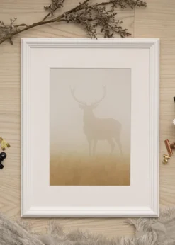 Ram Siljan Vit 60x80 cm - Passepartout Vit 50x65 cm