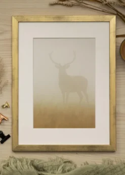 Ram Stilren Guld 30x40 cm