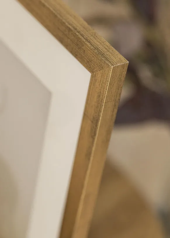 Ram Stilren Guld 60x80 cm