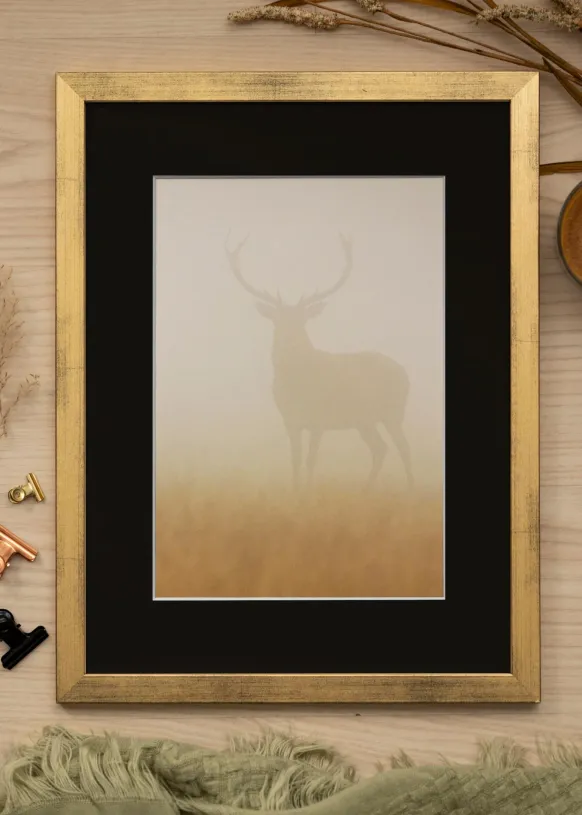 Ram Stilren Guld 35x50 cm - Passepartout Svart 25x35 cm