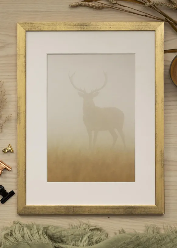 Ram Stilren Guld 40x50 cm - Passepartout Vit 27,5x37 cm