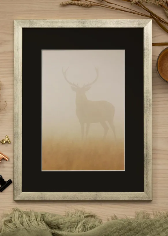 Ram Stilren Silver 60x80 cm - Passepartout Svart 50x60 cm