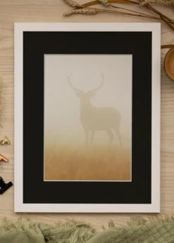 Ram Stilren Vit 20x30 cm - Passepartout Svart 15x21 cm (A5)
