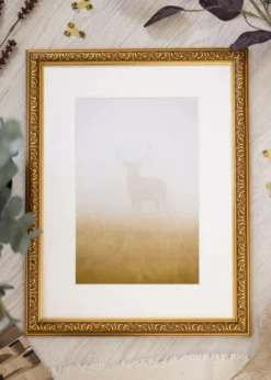 Ram Swirl Guld 40x50 cm - Passepartout Vit 29,7x42 cm