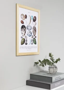 Ram Trendline Glas Nature 65x65 cm