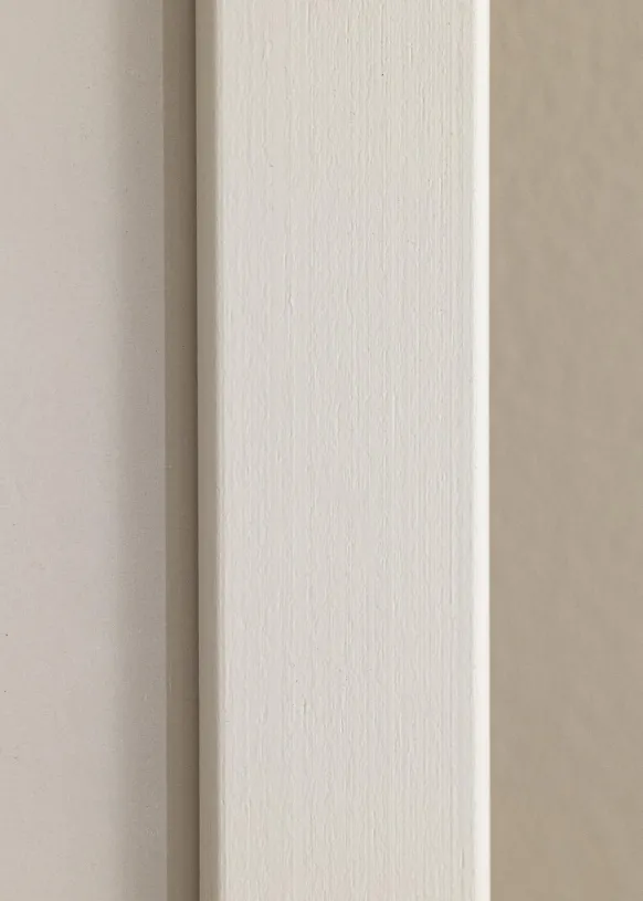 Ram Trendline Vit 50x100 cm