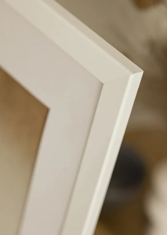 Ram Trendline Vit 43,2x61 cm (A2+)