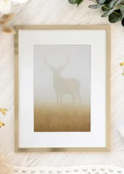 Ram Trendy Guld 60x80 cm - Passepartout Vit 49,3x68,5 cm