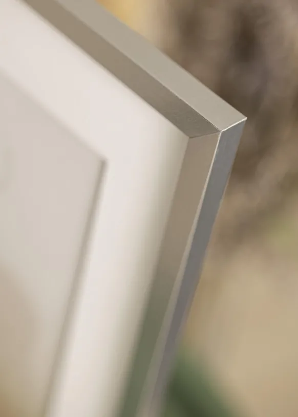 Ram Trendy Silver 70x100 cm - Passepartout Vit 62x93 cm