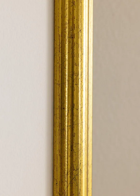 Ram Västkusten Guld 45x50 cm