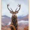 Red deer in the mountains Poster (21x29.7 cm (A4))