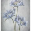 Scabiosa Canvastavla (30x40 cm)