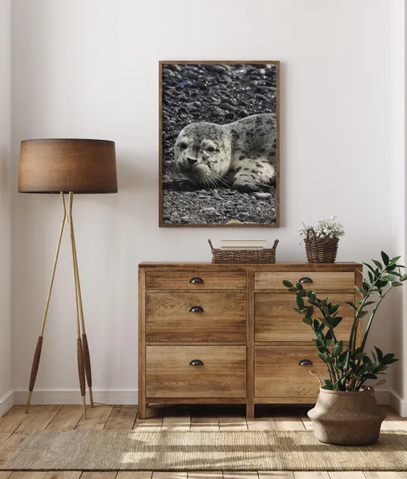 Seel Poster (21x29.7 cm (A4))