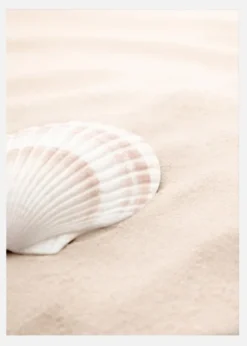 Shell Canvastavla (30x40 cm)