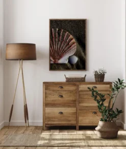 Shell Poster (21x29.7 cm (A4))