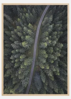 Small road through the forest Poster (21x29.7 cm (A4))