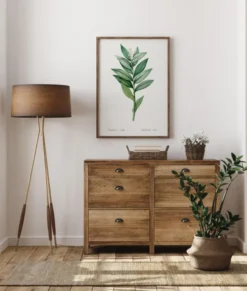 Smilacina Stellata Poster (21x29.7 cm (A4))