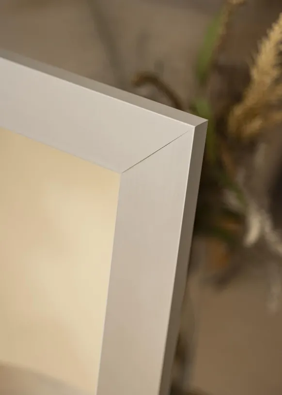Spegel Dover Slät Silver - Egna Mått